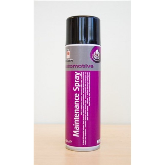 Workplace Spray 480ml Aerosol