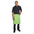 Dennys Colour Waist Apron