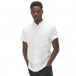 Le Chef Mens Prep Shirt Le Chef Mens Prep Shirt