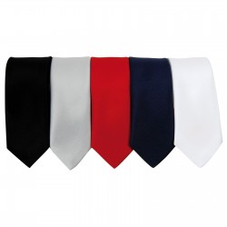 Slim Coloured Ties (Pr793) Slim Coloured Ties (Pr793)