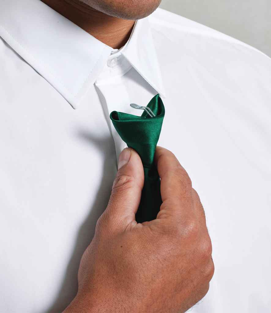 [PR755] Premier 'Colours' Satin Clip Tie