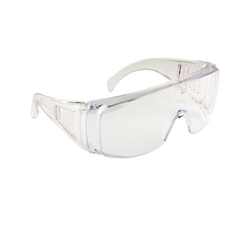 Portwest Visitor Safety Spectacle